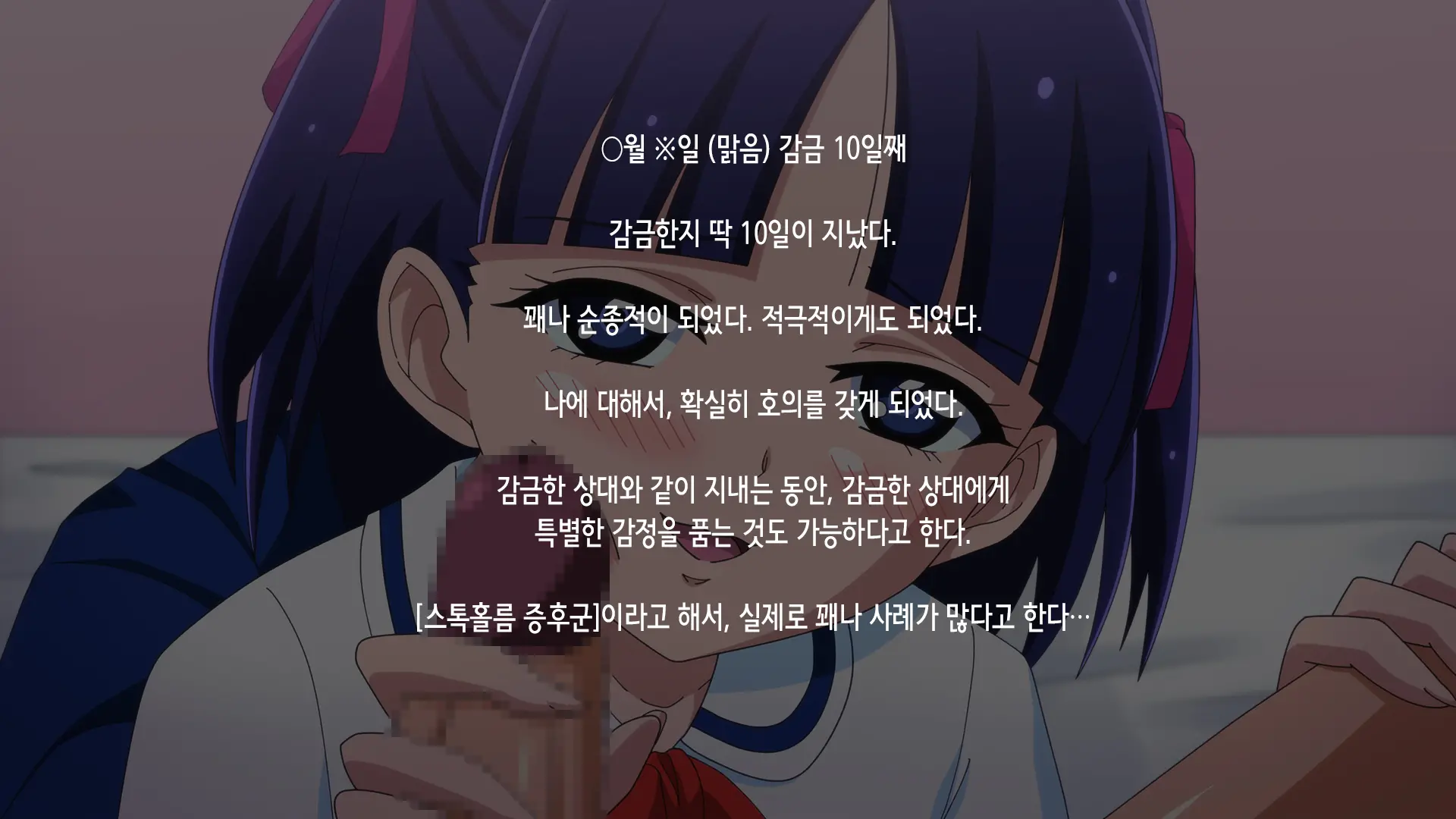 Kansatsu Nikki | 간찰일기